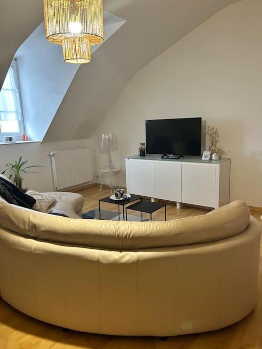 Le Cathedrale - T3 En Plein Centre-ville De Apartment Rodez